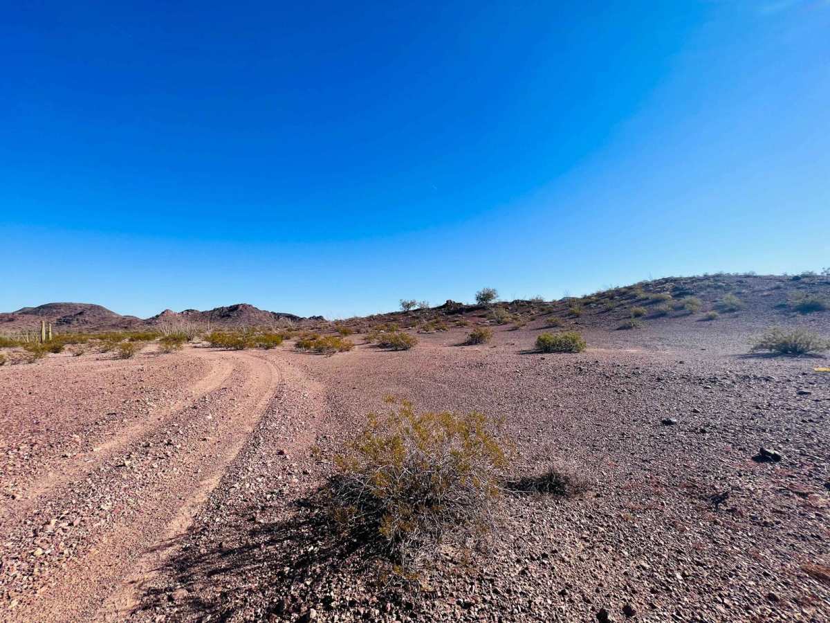 Ocotillo Adjacent Run photo 5