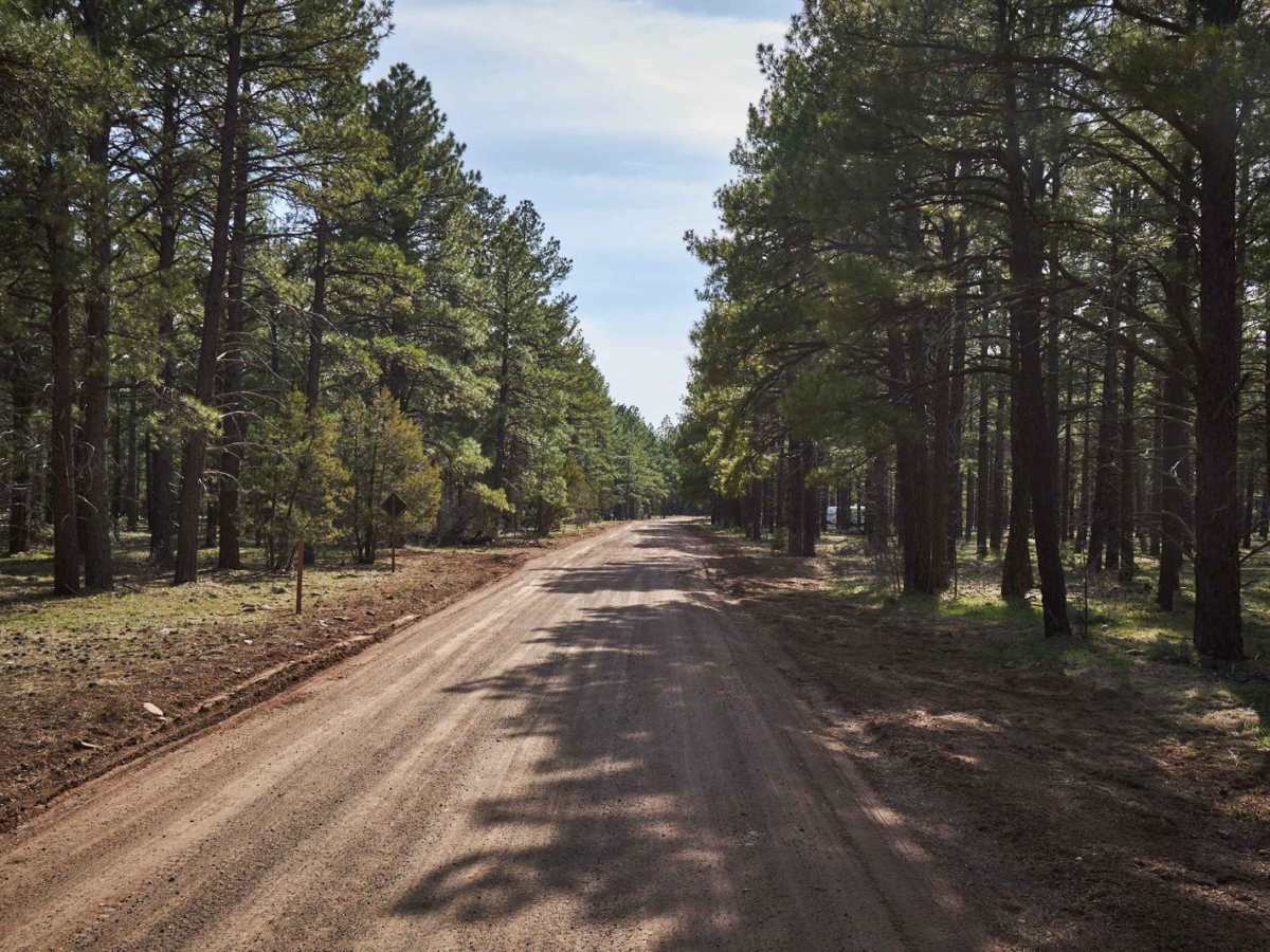 Loop Road N. / 108 photo 5