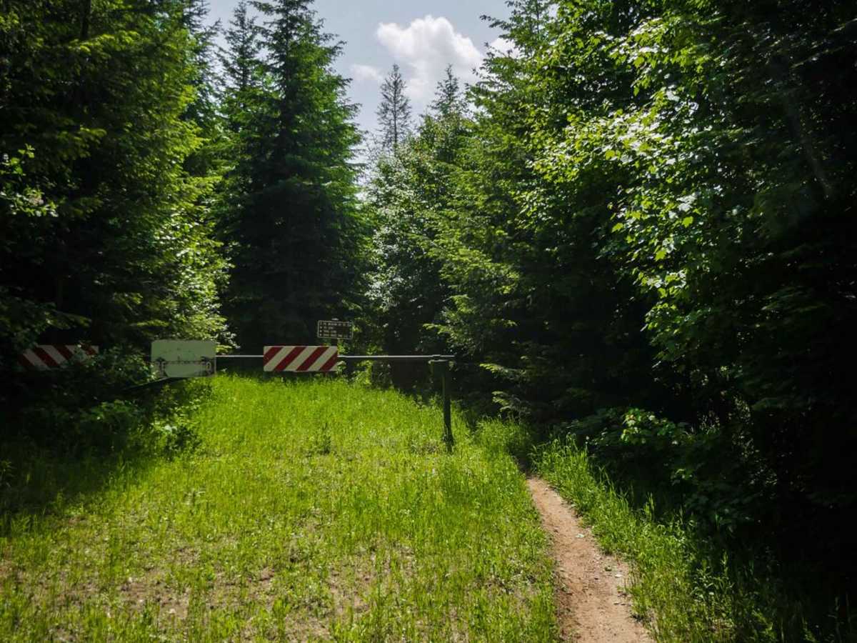 East Fork Meadow Creek No. 224 (Part 2) photo 4