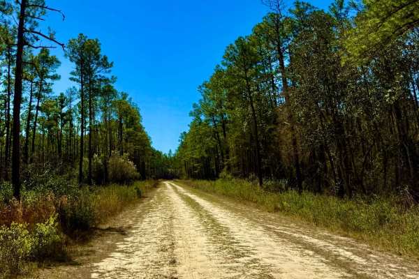 Otter Camp South - FS 344
