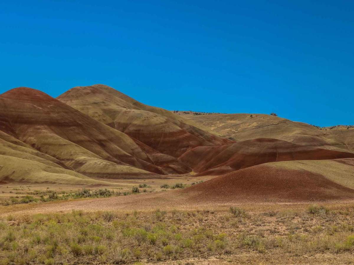 Bear Creek Road (Painted Hills Trail) photo 3