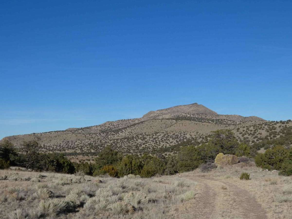 Cerro Pelon Base trail photo