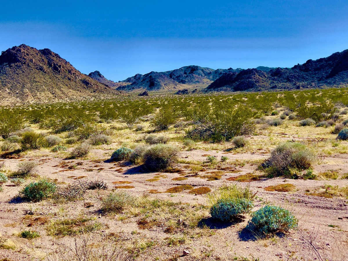 Turtle Mountain Road photo 2