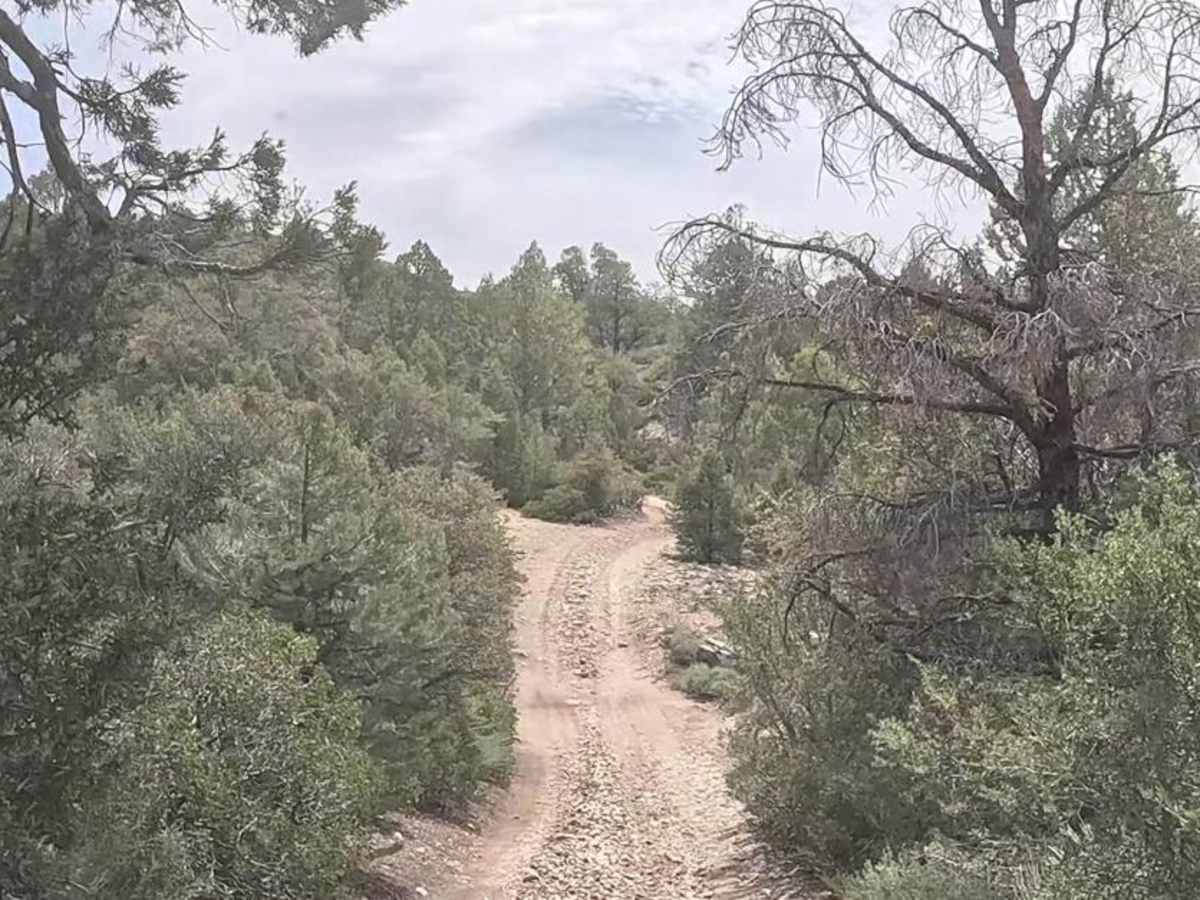 Upper Holcomb - 3N83 trail photo