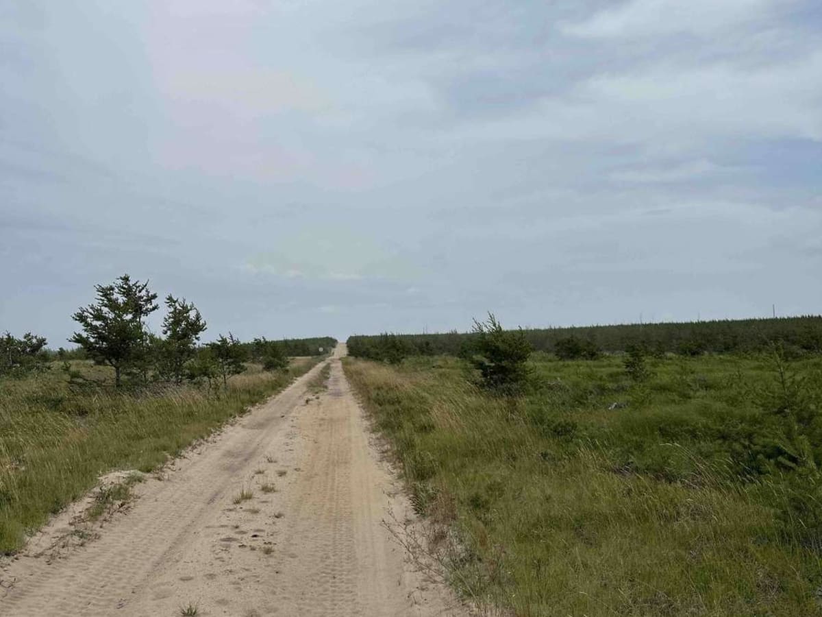 County Road 412 West photo 2