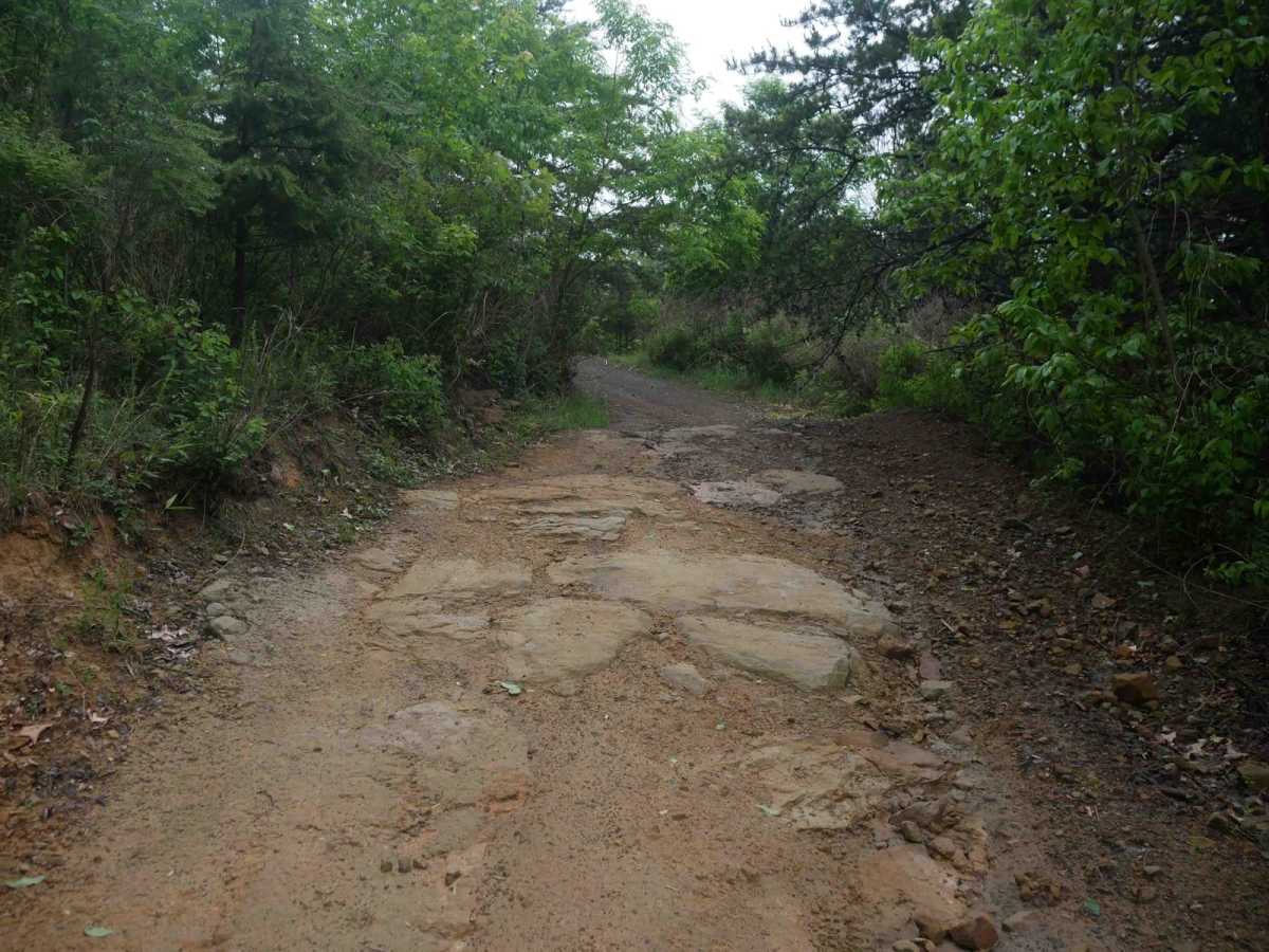 CC12 trail photo