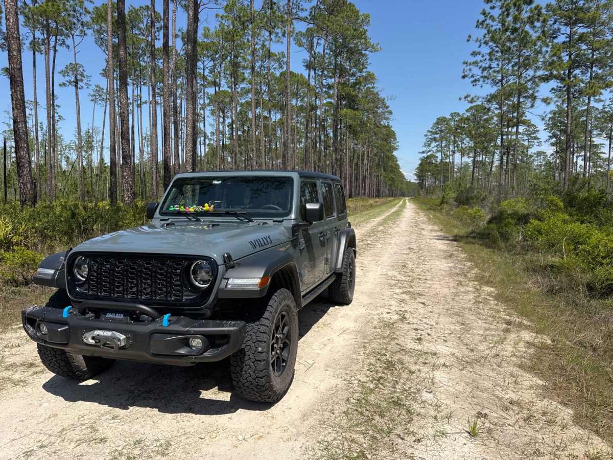 Natural Area - Osceola NF 277 photo 6