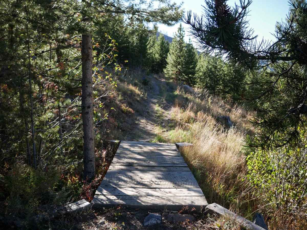 No See Um ATV Trail photo 3