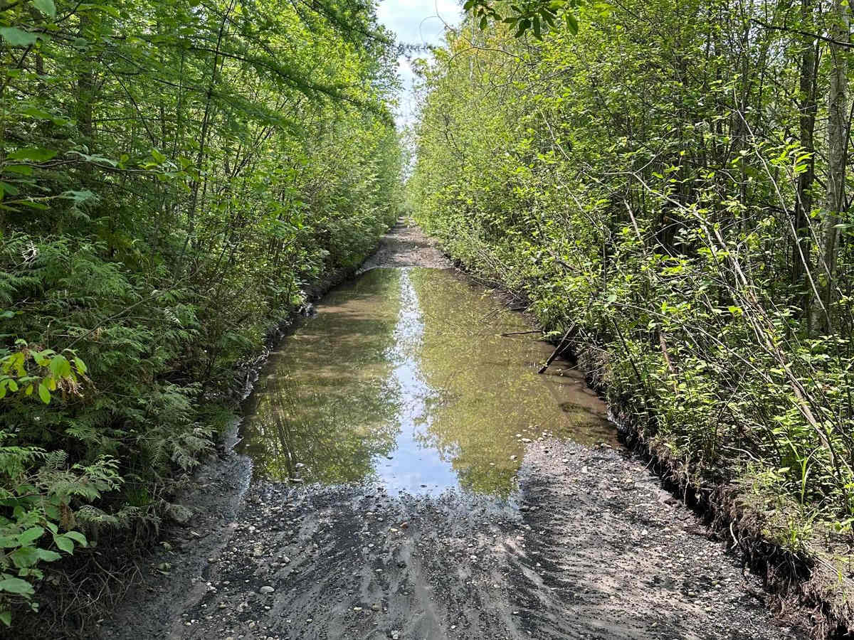 Rail Trail Part 4 photo 6