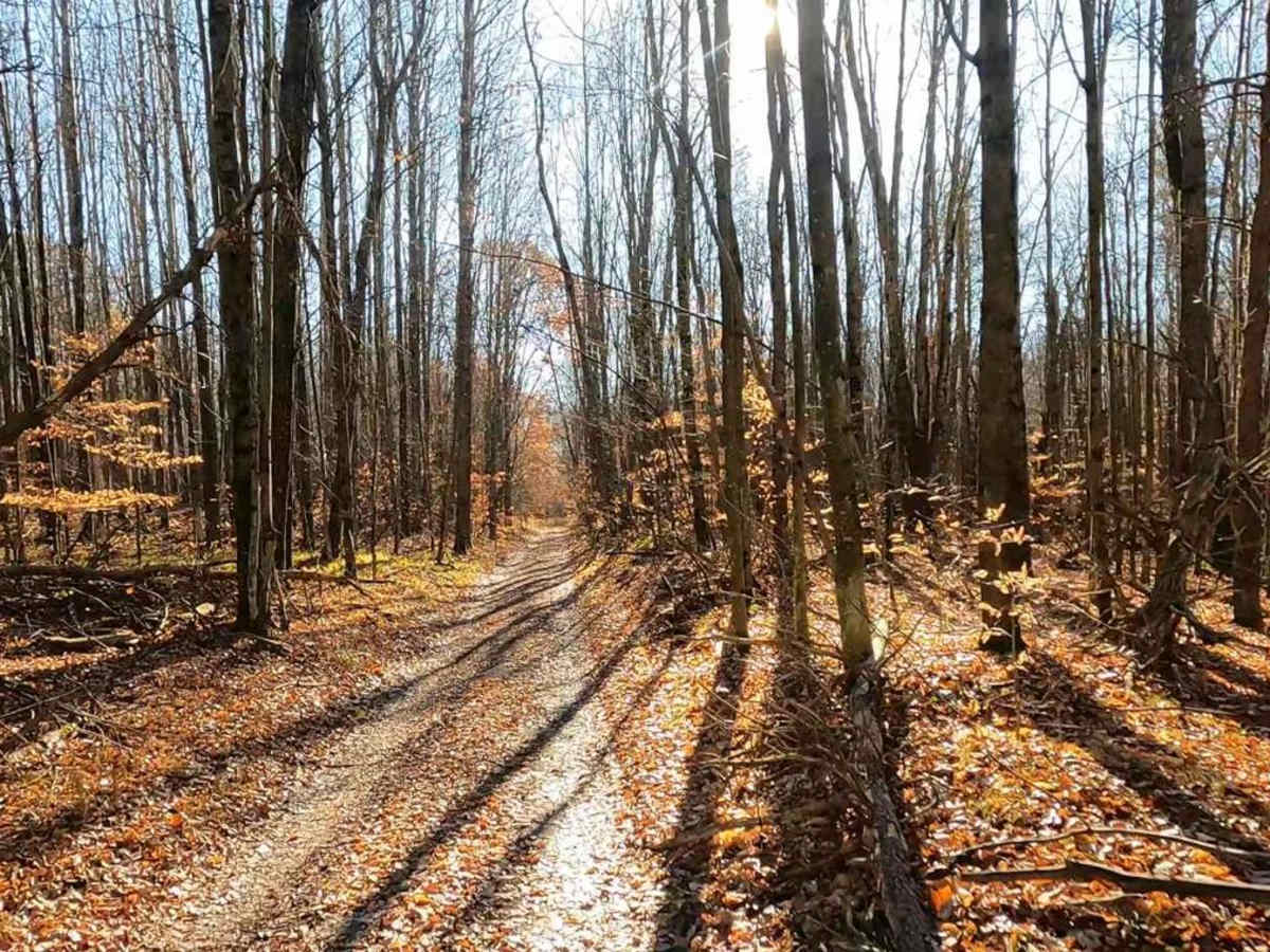 Twin Creek Twisty Trail trail photo