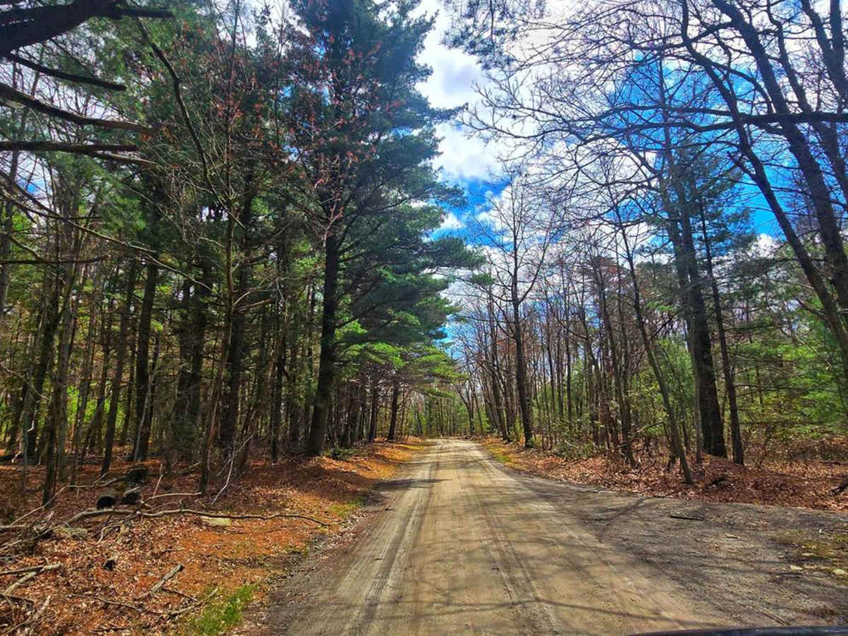Snowy Mountain Road photo 4