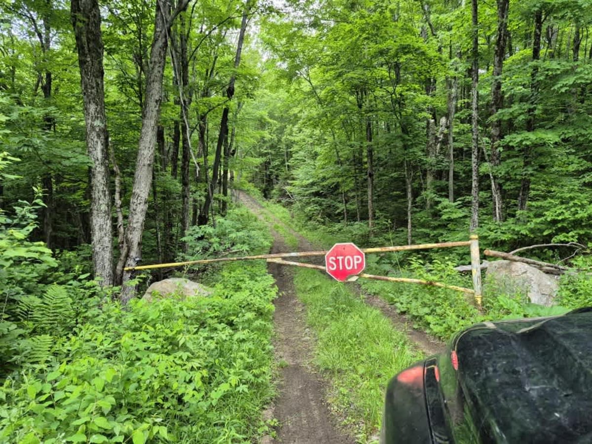 Fly Creek Road photo 6