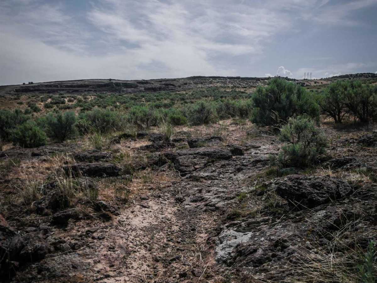 Skull trail photo