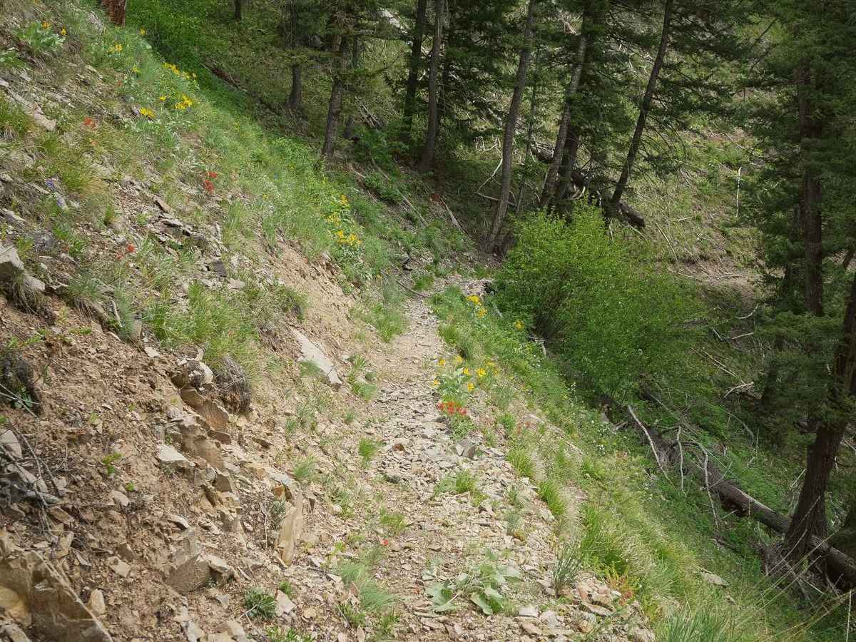 Sheep Creek photo 3