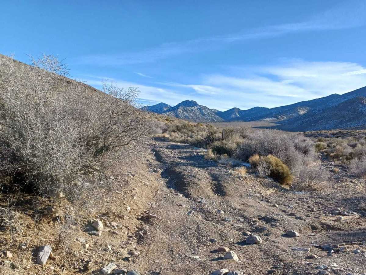 552 Mining Entry Road trail photo