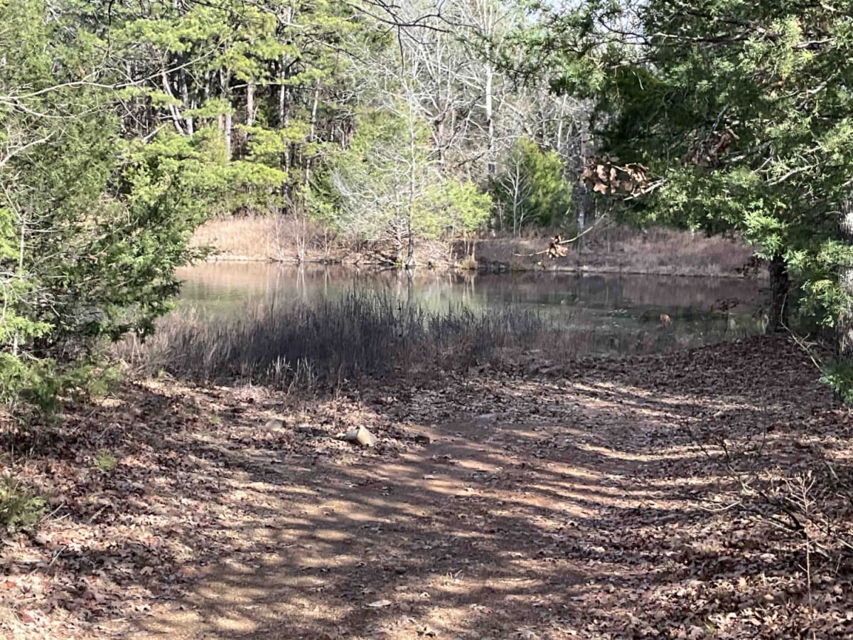 Merie Conser Trail (FS 6061) photo 3