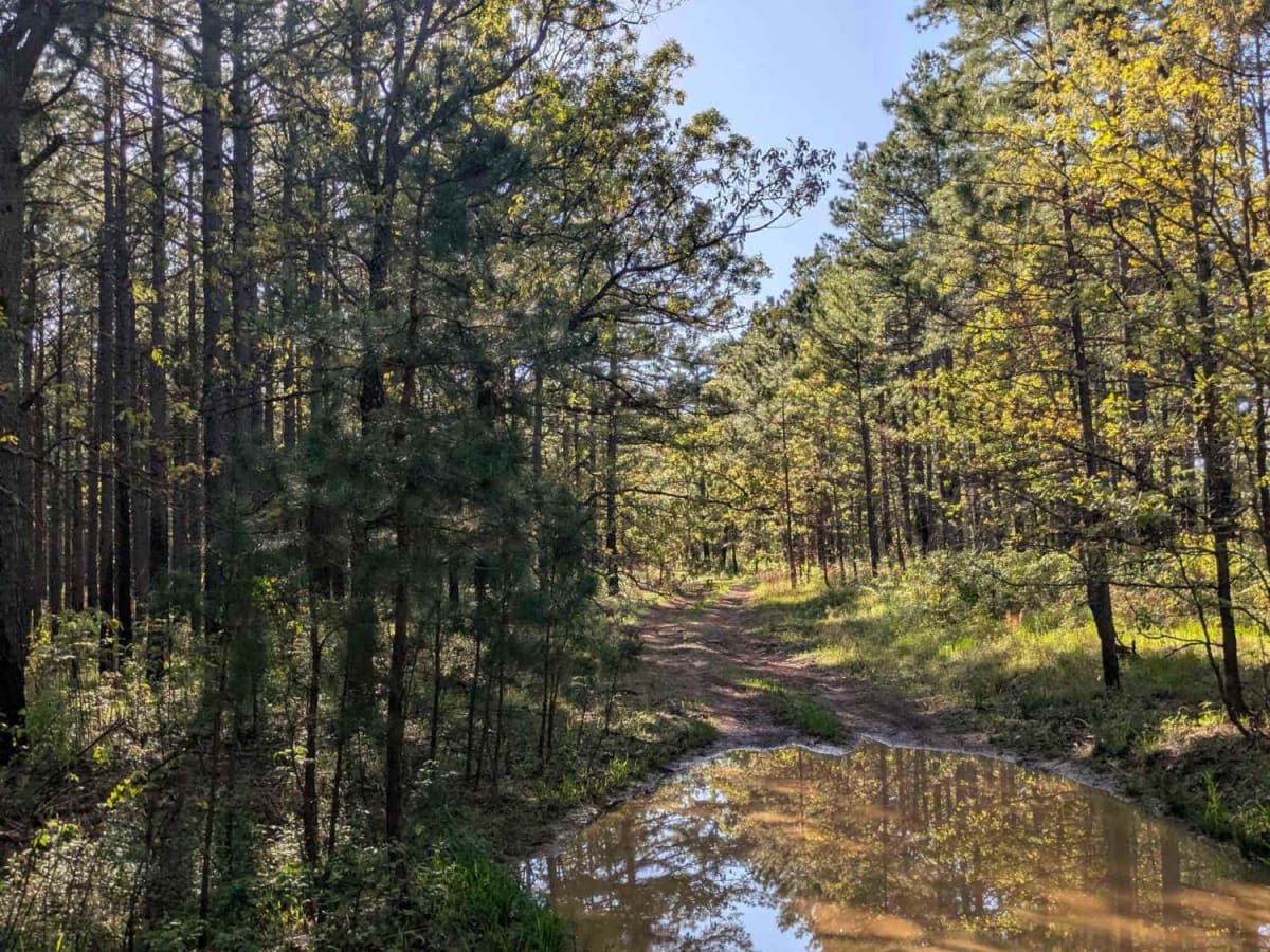 Henry Mountain Road photo 2