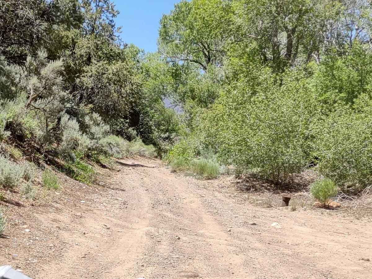 City Creek Canyon (FS# 40133) photo 3