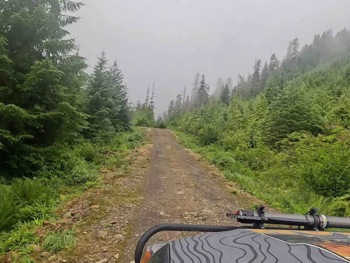 Old Hermit Spur Road - 50052 trail photo
