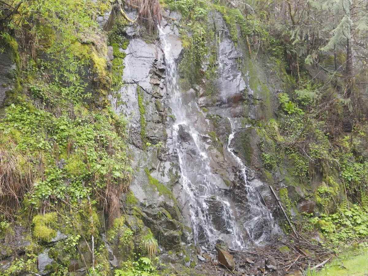 Horse Creek Road photo 3