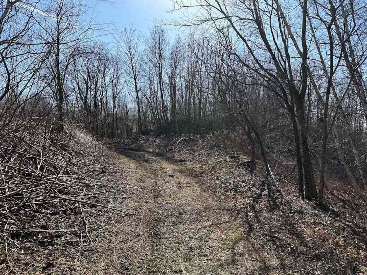 St. Keirns 127 trail photo