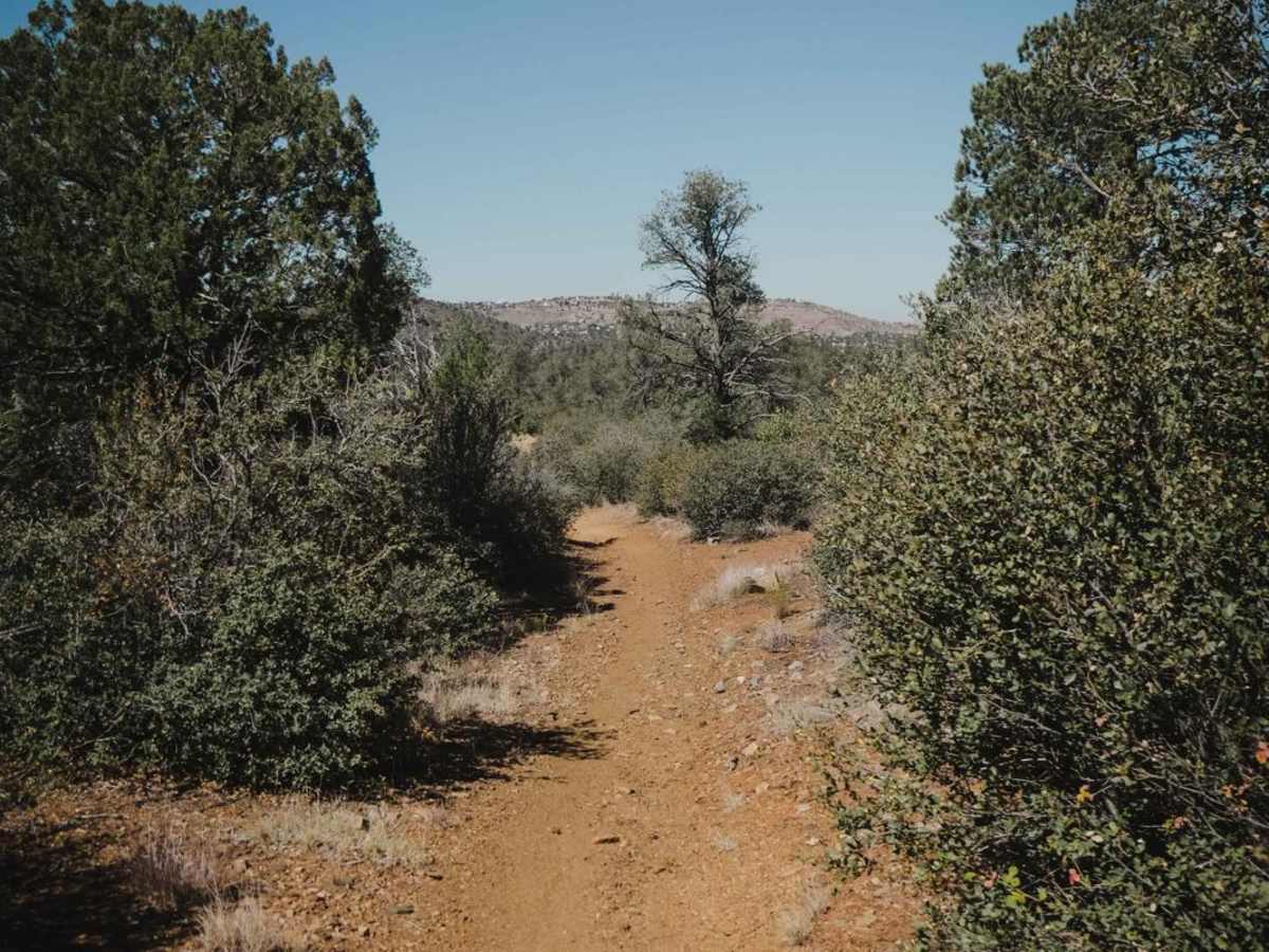 Salida Connection photo 3