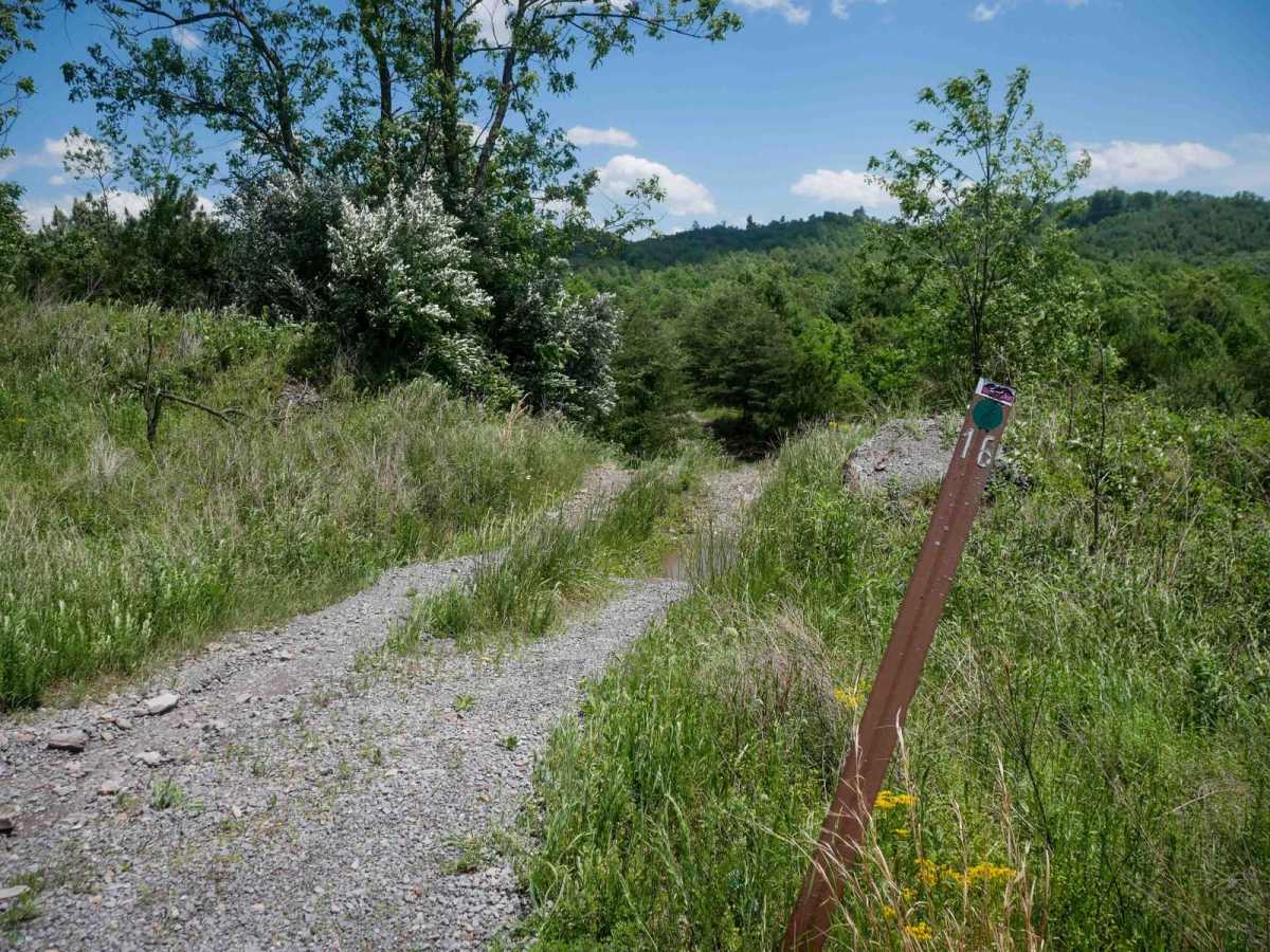 CC16 trail photo