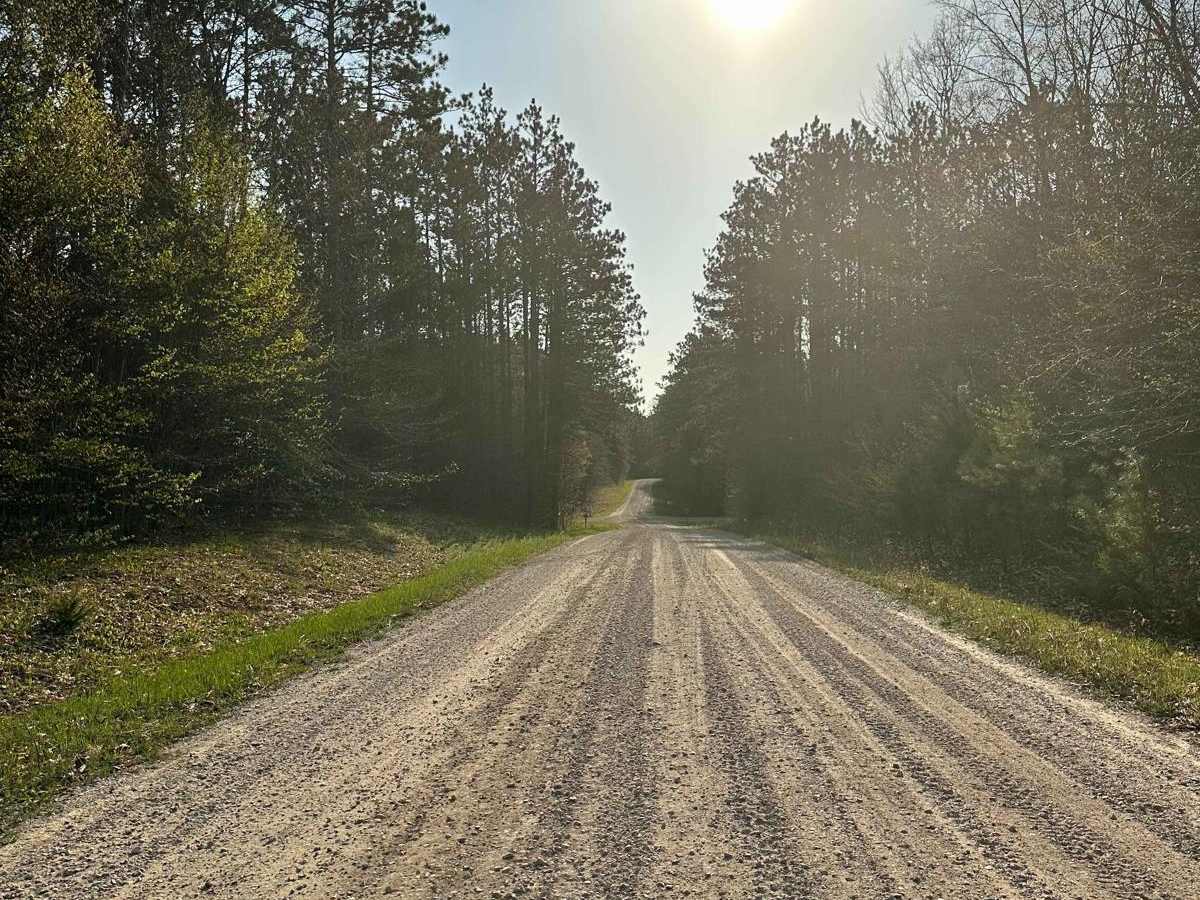 Cadillac Area ORV/OHV Scenic Ride - Part 3 photo 2