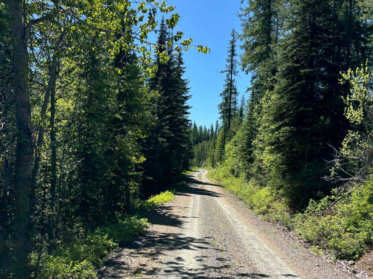 Summit Springs/Cripple Horse photo 2