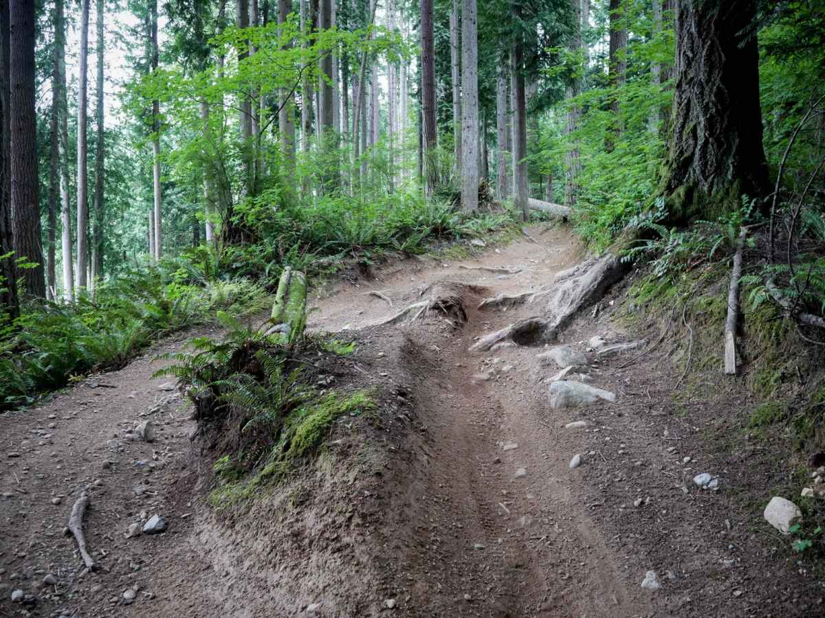 Muddled Meanderings trail photo