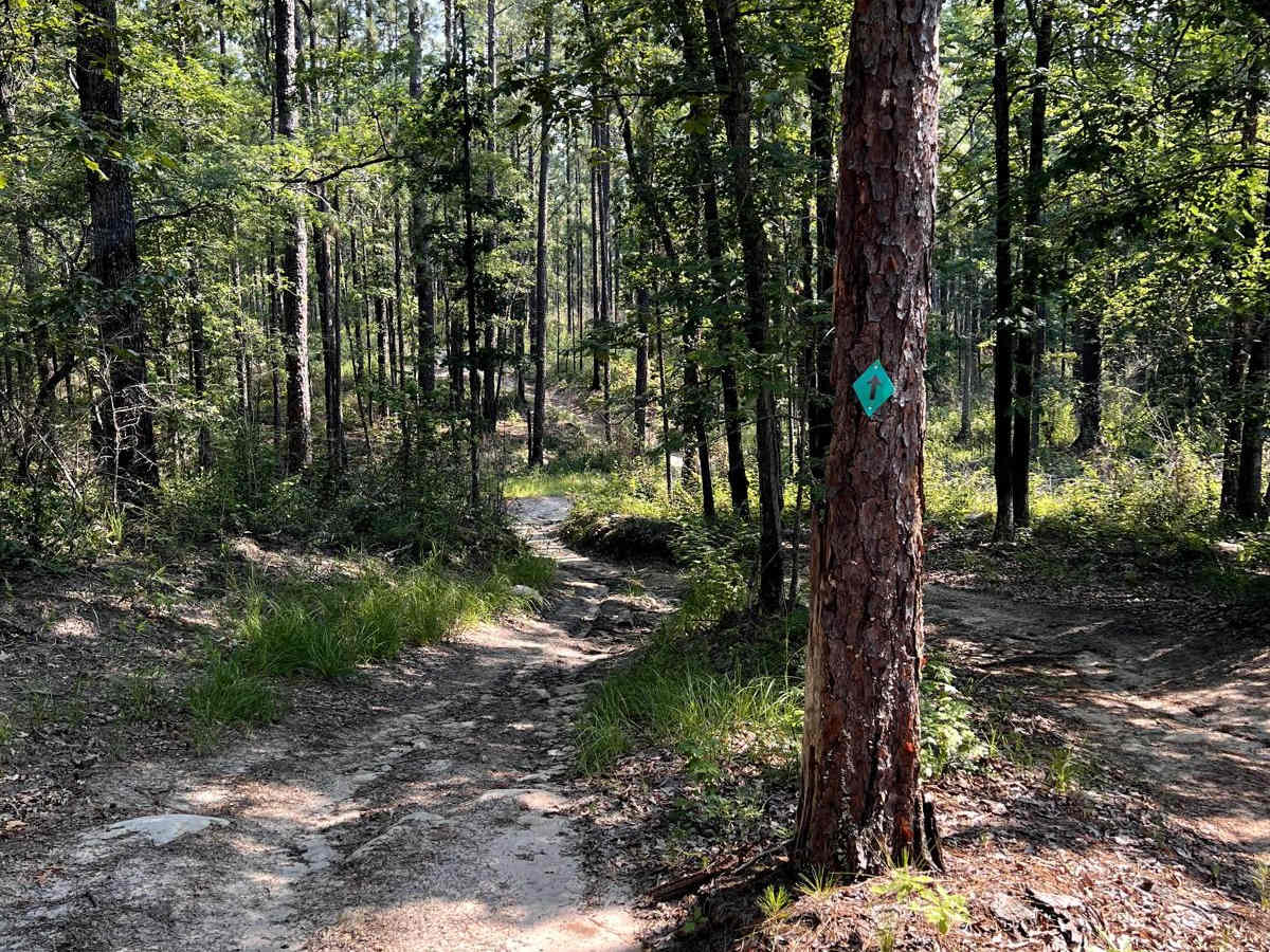 Sandstone trail photo