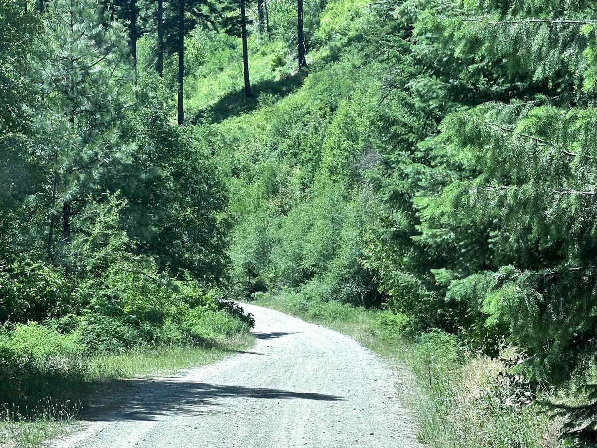 Derby Canyon Road photo 5