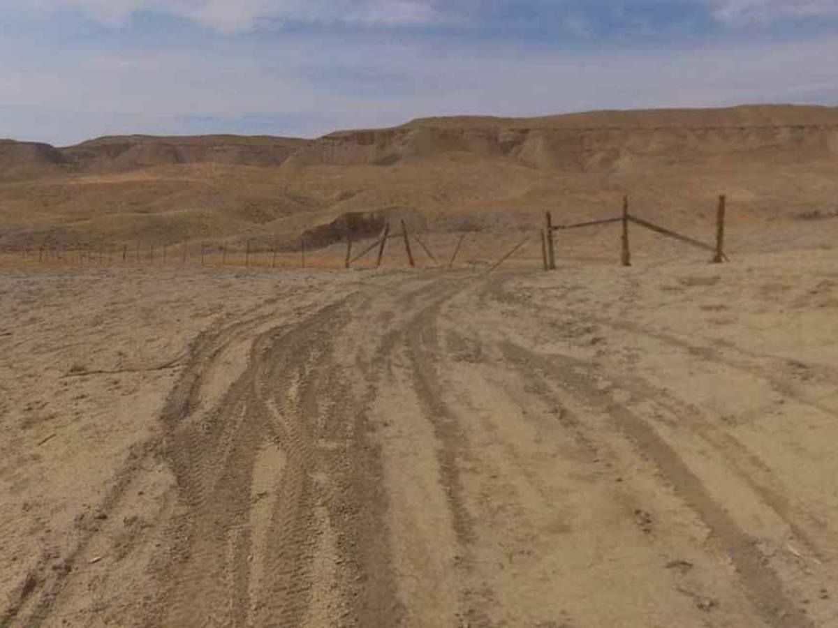 BLM13040 photo 4