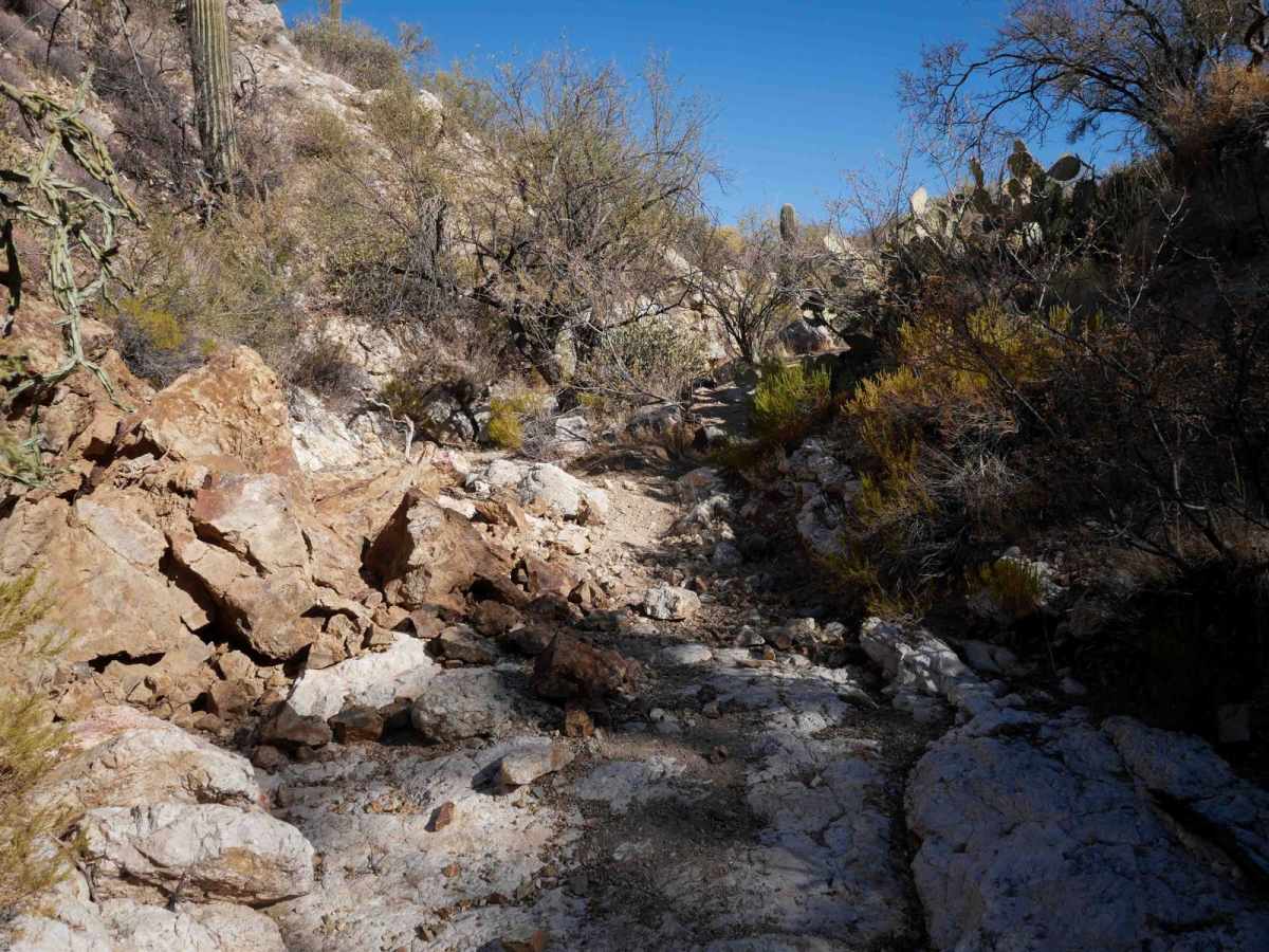 Radio Tower trail photo