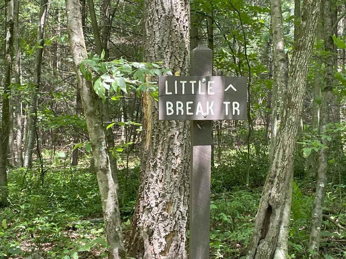 Third Gap Road trail photo