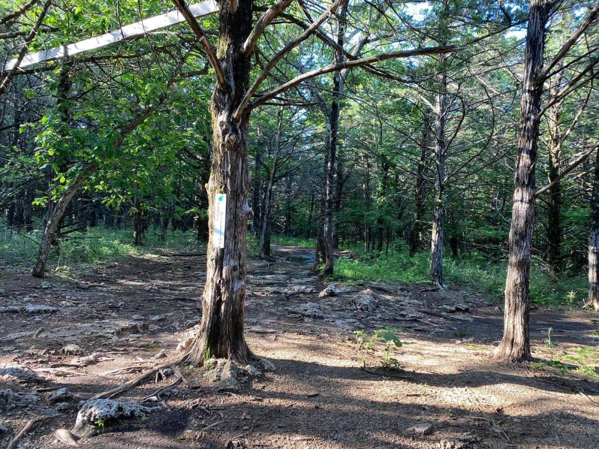 Tony's Playtime trail photo