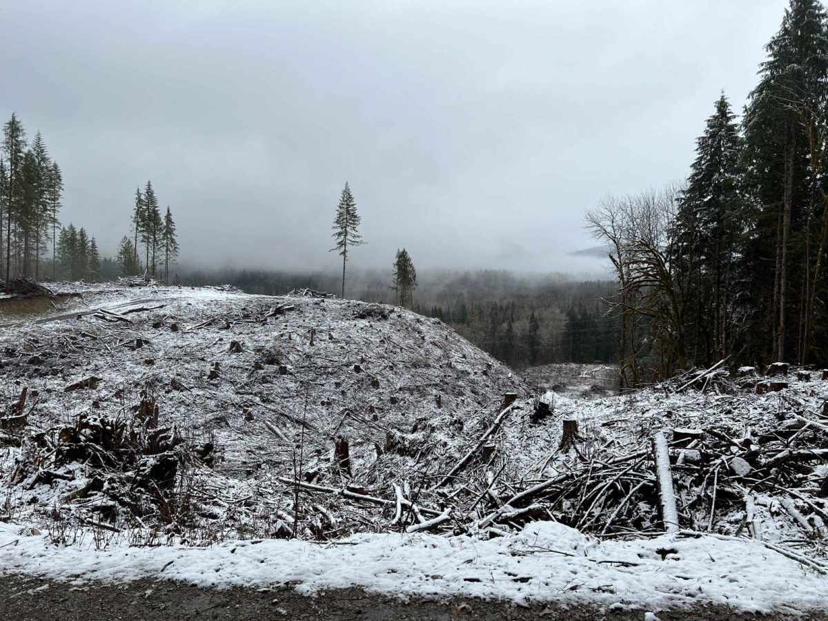 Sauk River photo 5