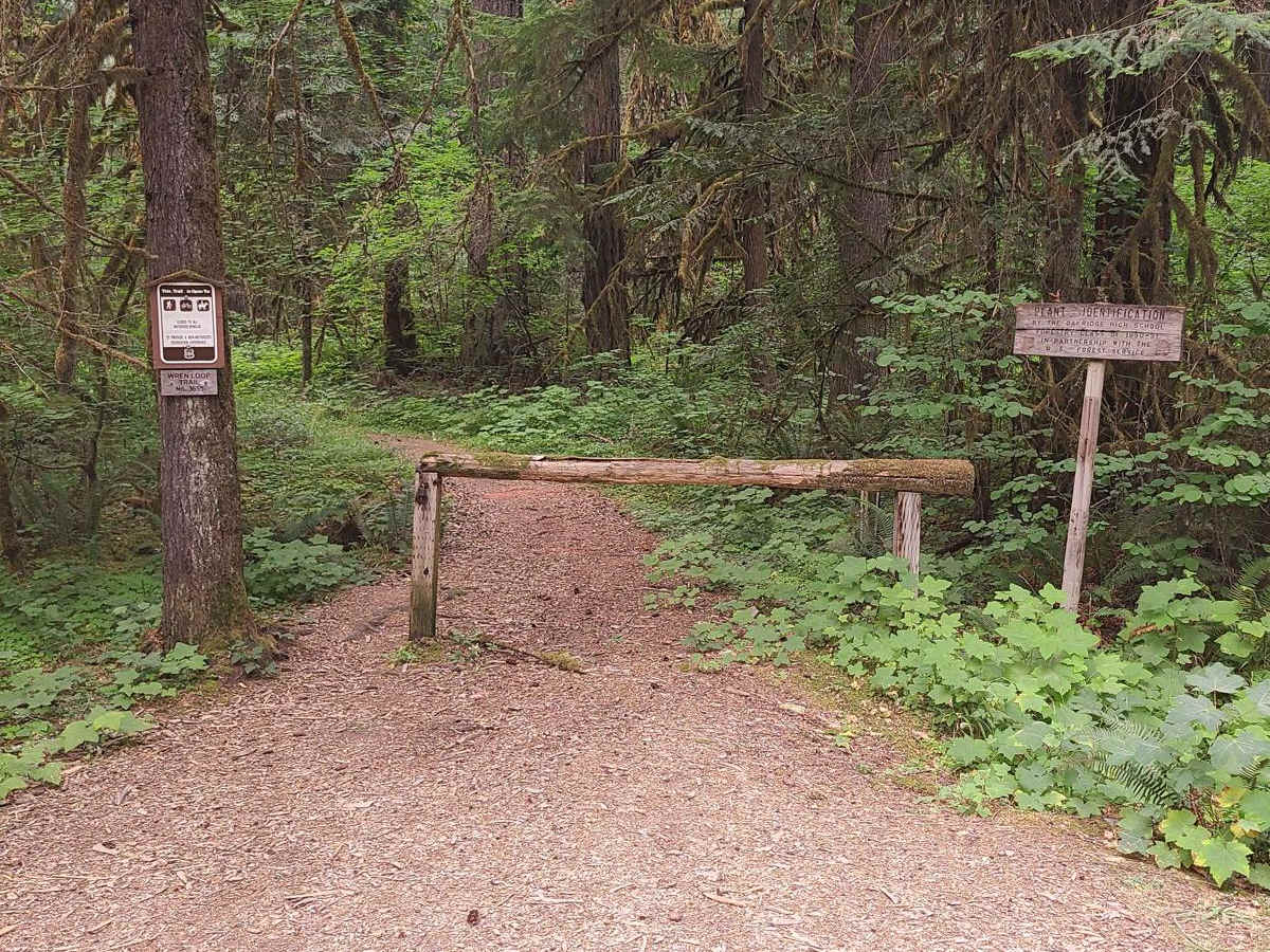 High Divide #5850 photo 6