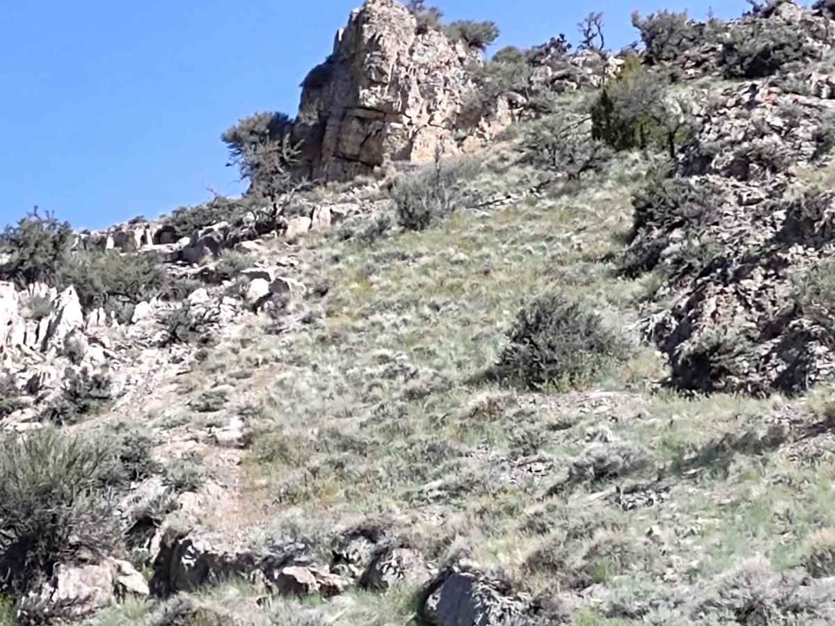 Alder Creek Loop at Chimney Gulch photo 2