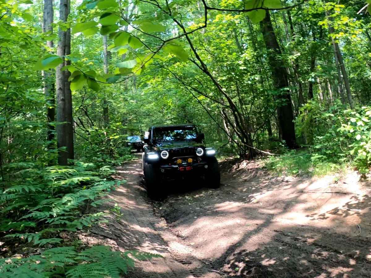 Rothberry Forest Loop Access photo 3