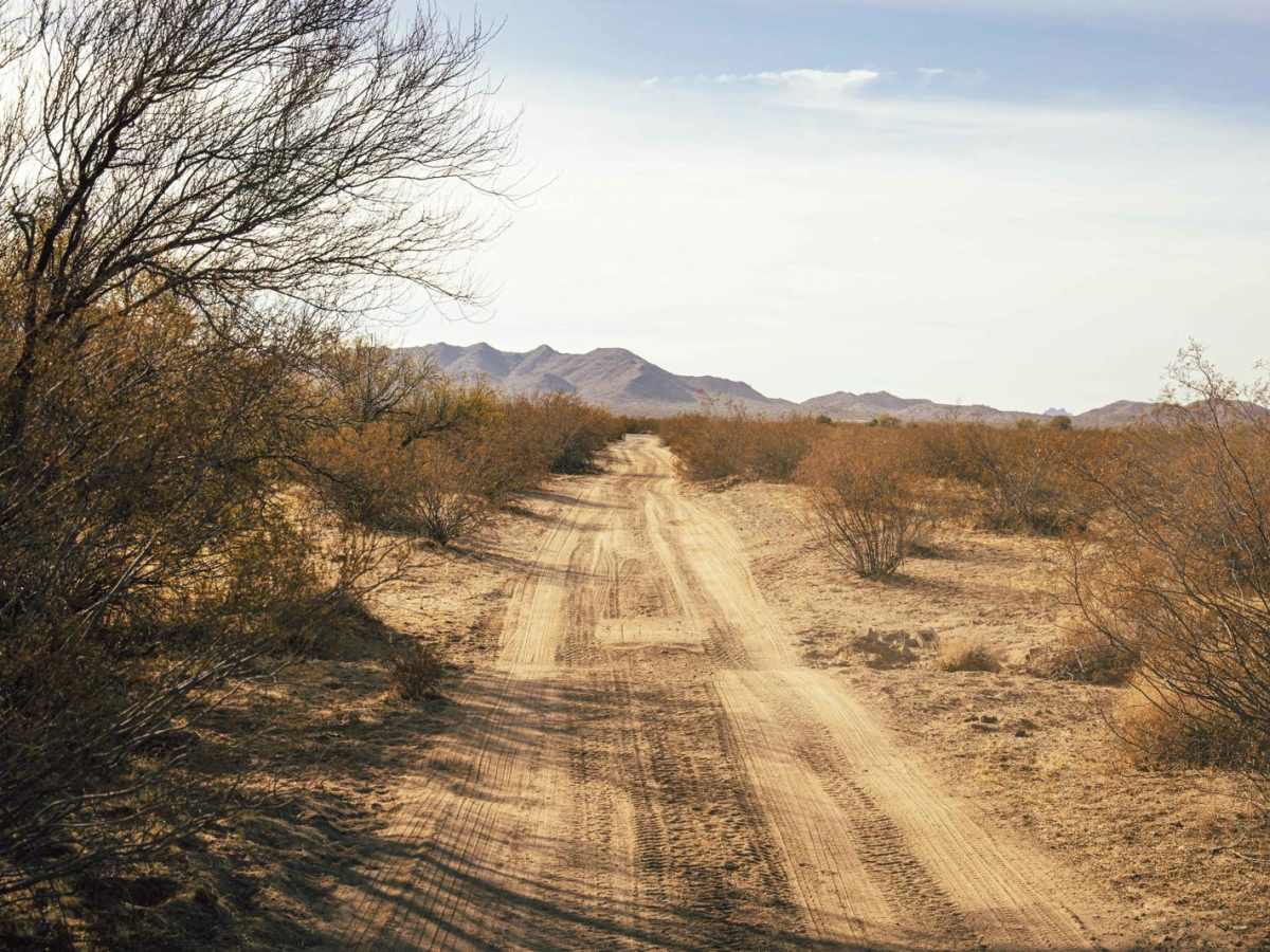 Mine Camp trail photo