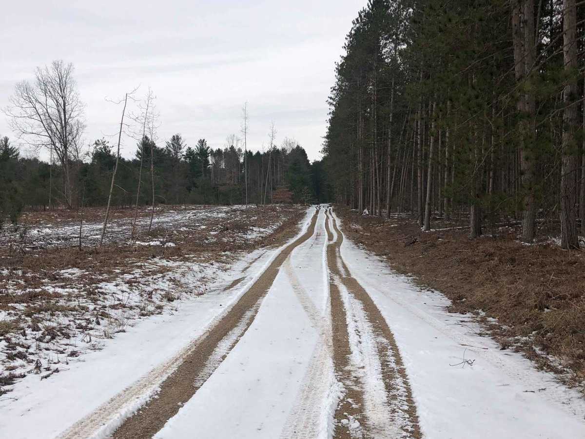 NFS Road 5235 photo 5