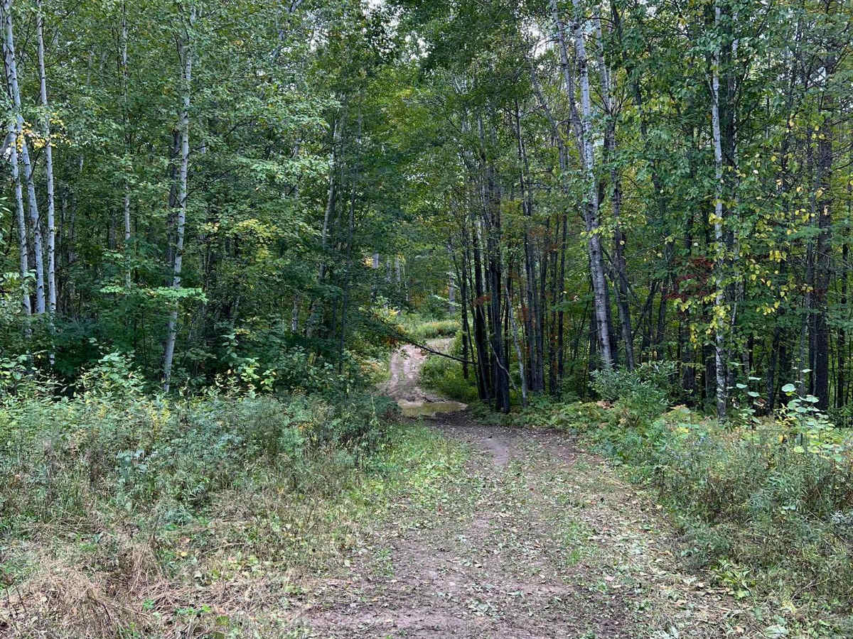 Foot Hills North Lake Loop photo 4