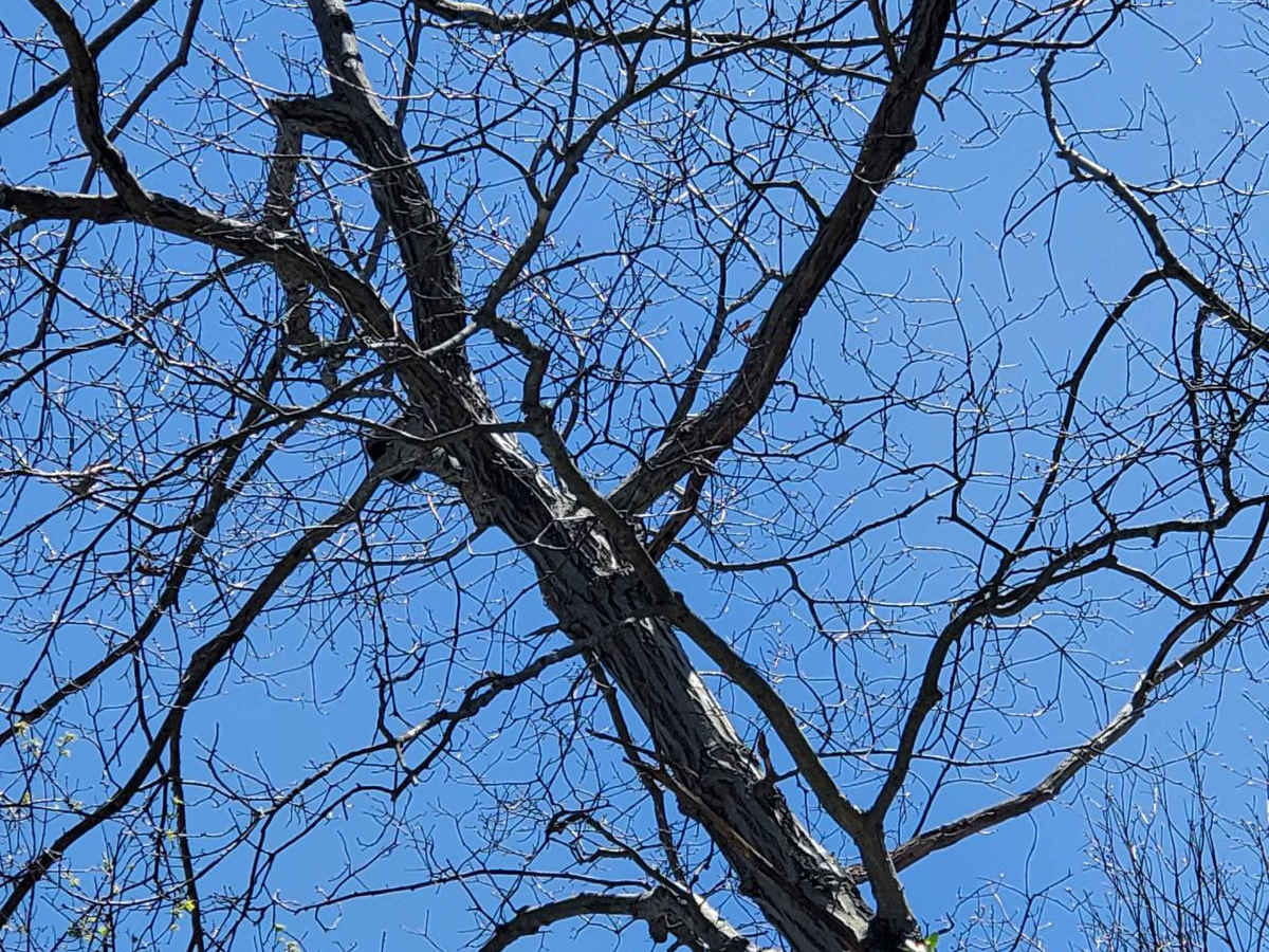 03 photo 4