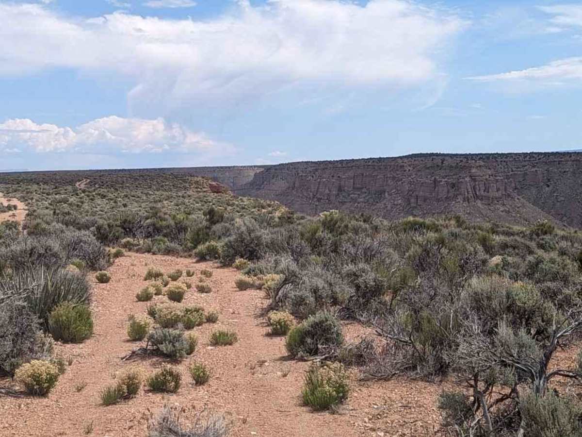 Snake Gulch Rim - BLM191 photo 6