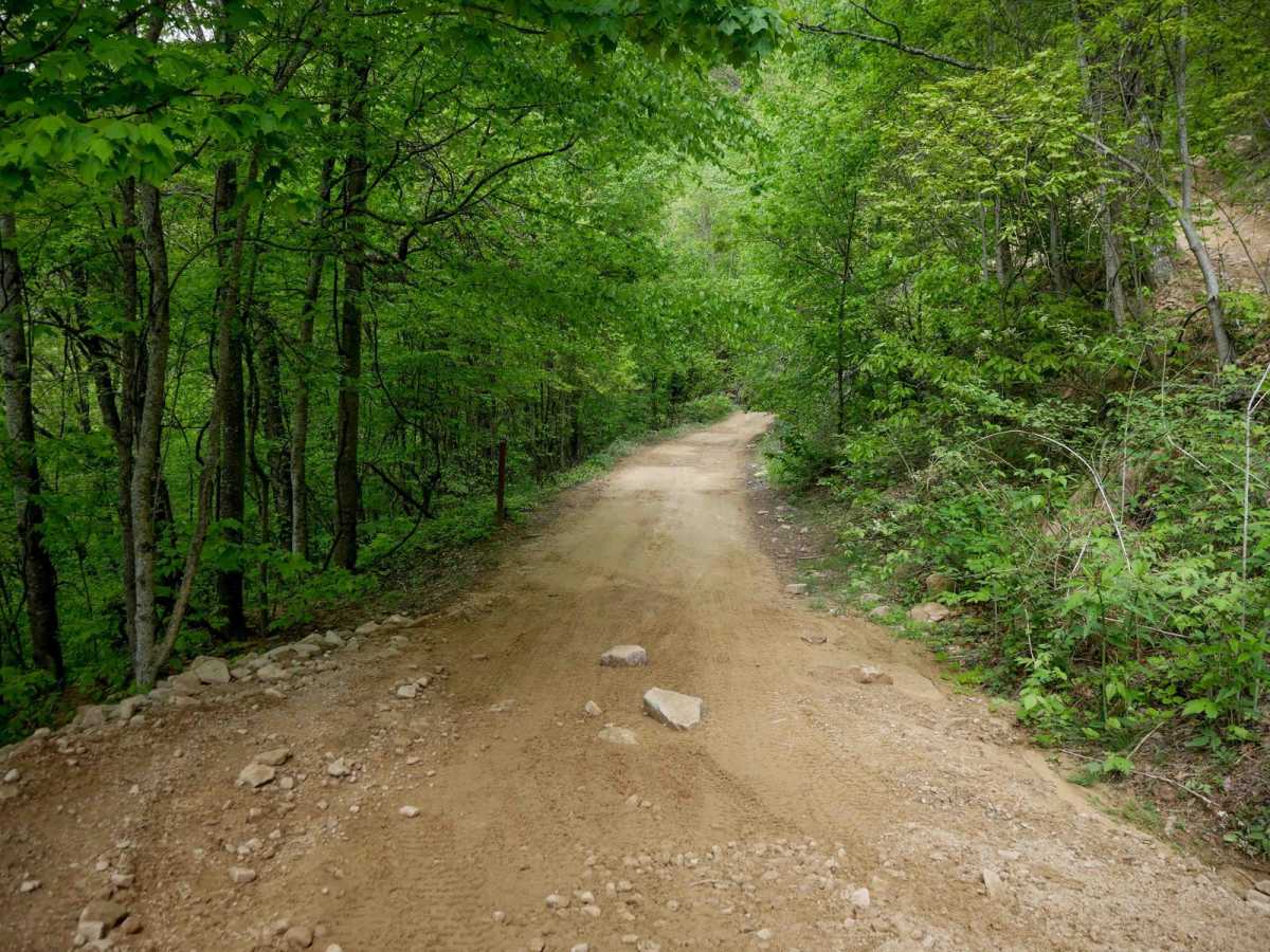 RH 41 trail photo