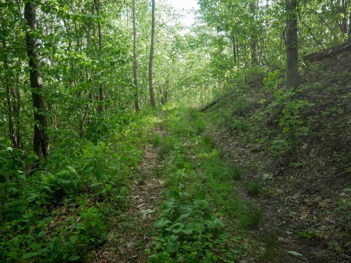RV29 photo 3