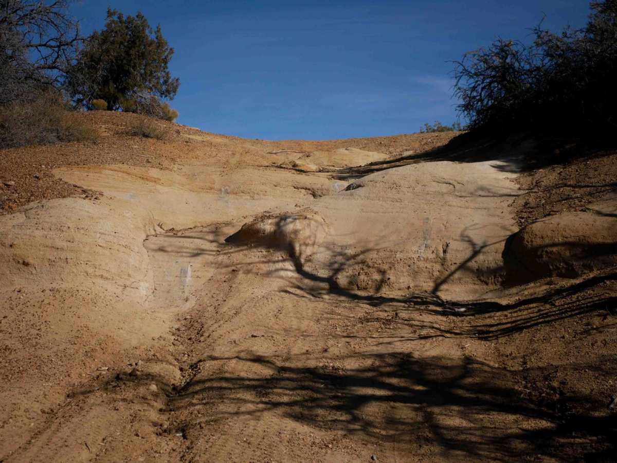 ATV Loop trail photo