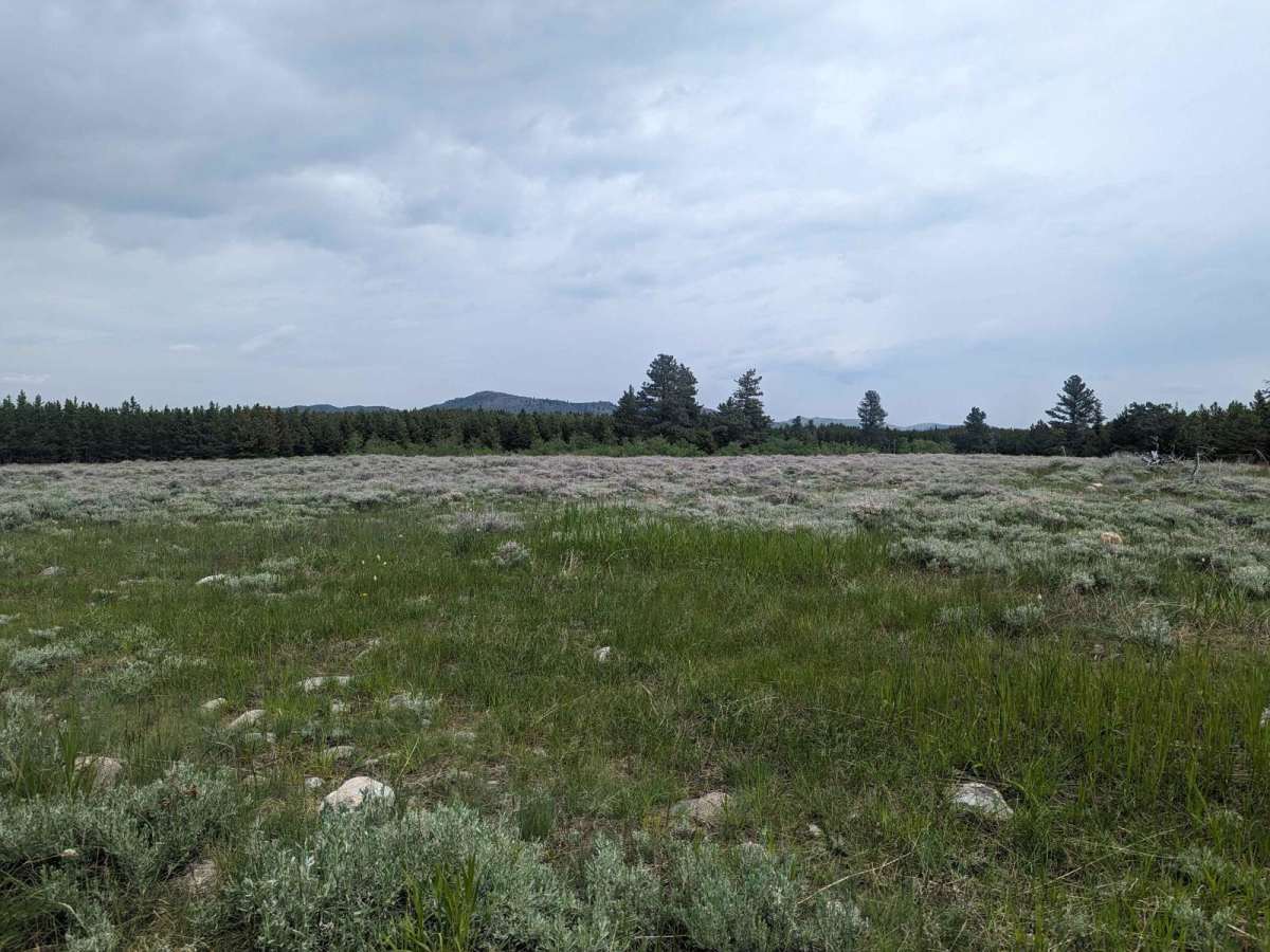 Benbow Jeep Trail photo 6