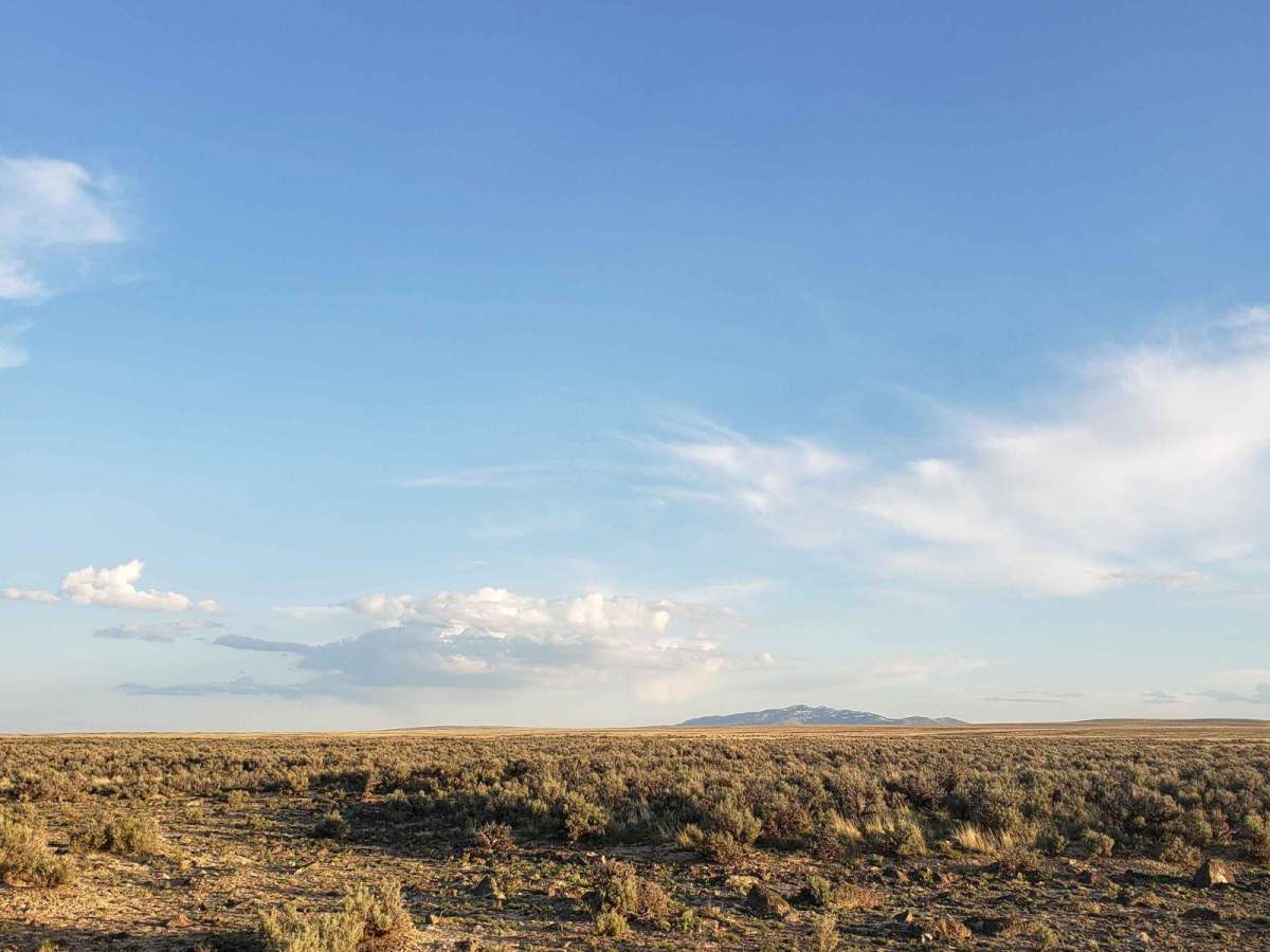 Tent Creek Road photo 4